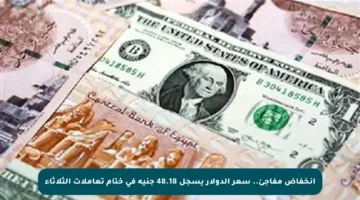 انخفاض مفاجئ.. سعر الدولار يسجل 48.18 جنيه في ختام تعاملات الثلاثاء